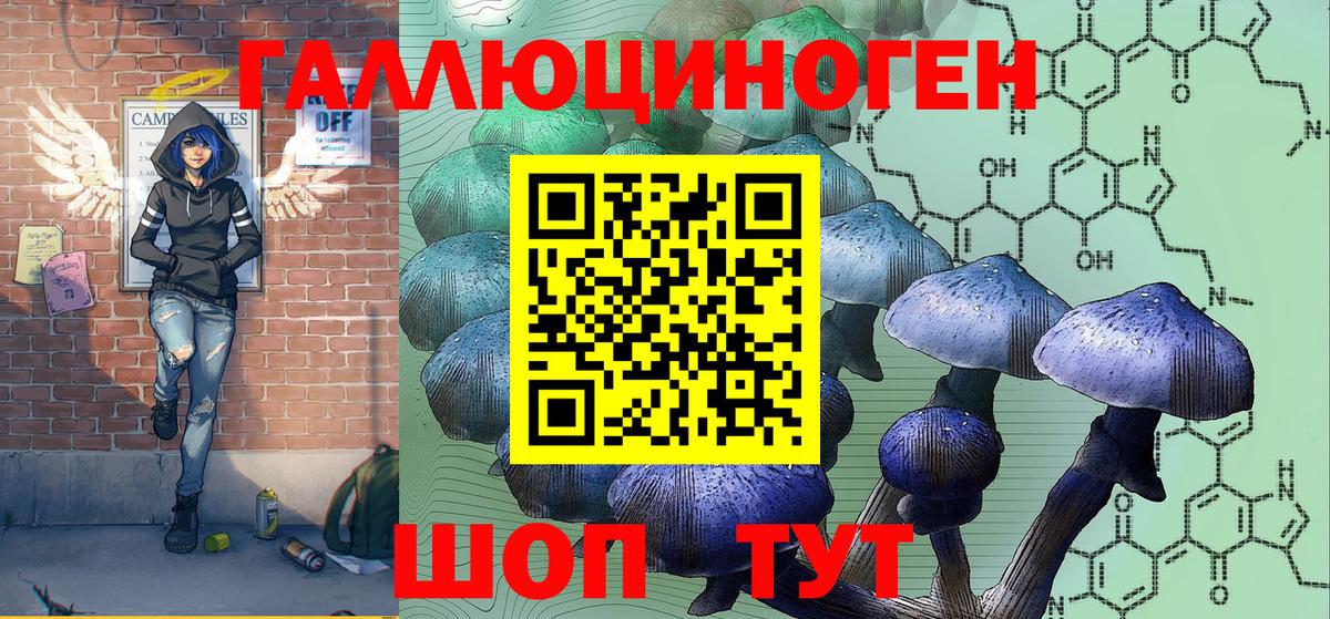 Псилоцибиновые грибы Psilocybe  Псилоцибиновые грибы прущие грибы  Назрань  Вход с VPN 