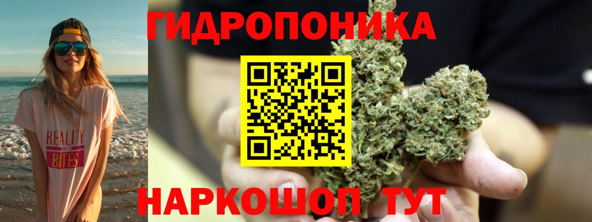 Бошки Шишки тримм  Конопля индика  Вход с VPN  Назрань 
